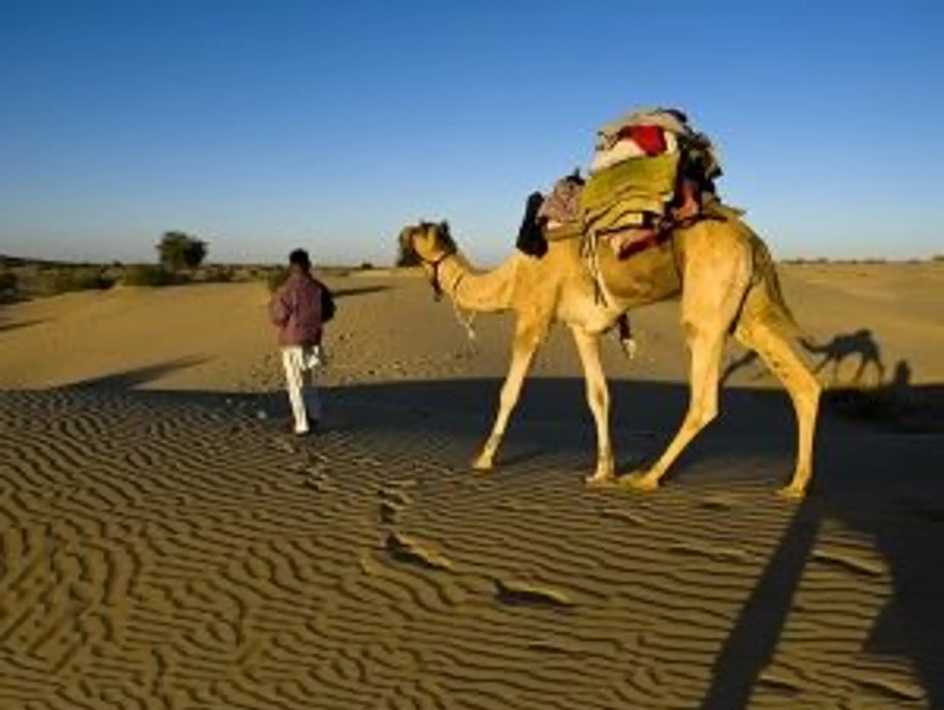 Vous allez aimer ces activités en Inde du Nord