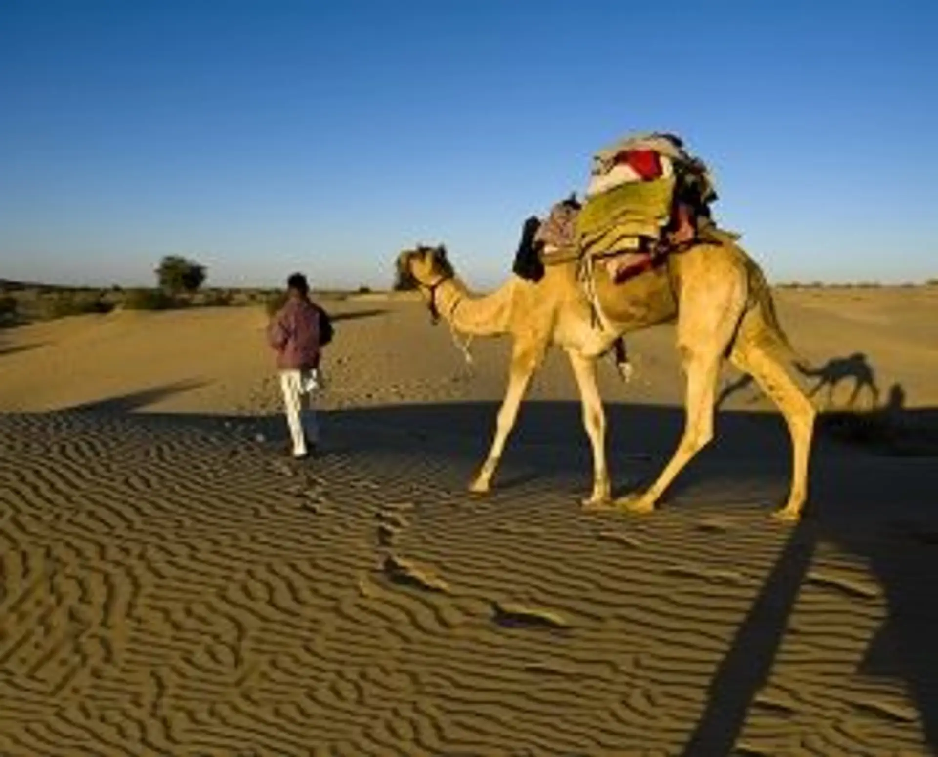 Voyage en Asie - Activités authentiques en Inde du Nord, Delhi, Jaipur et Rajasthan avec guide local