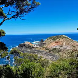 Sentier côtier serpentant sur les falaises de Cape Schanck, Australie