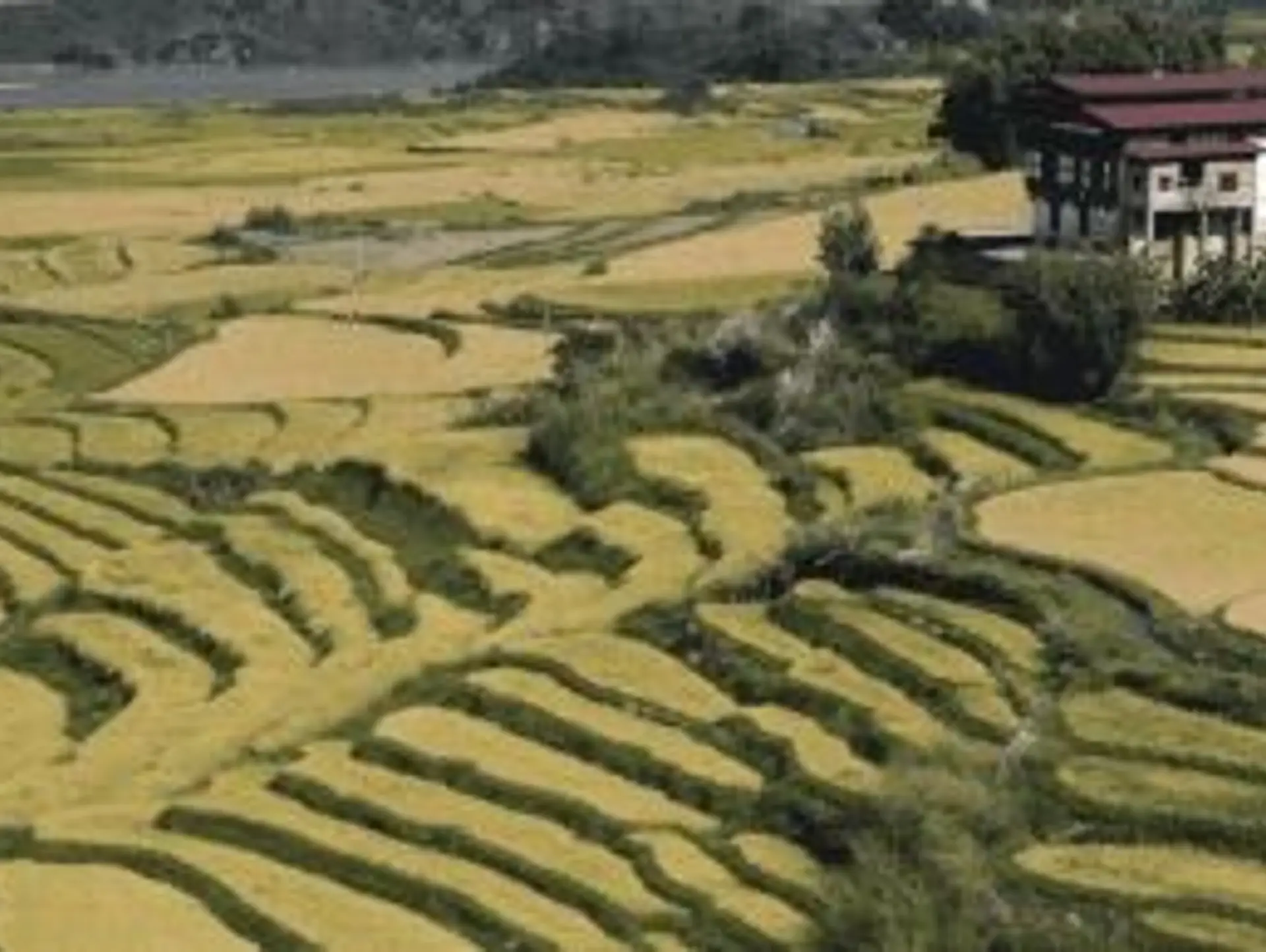 Voyage responsable au Bhoutan