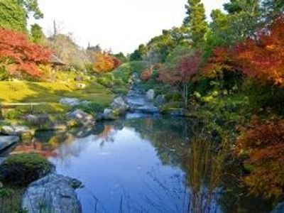 Voyage responsable au Japon