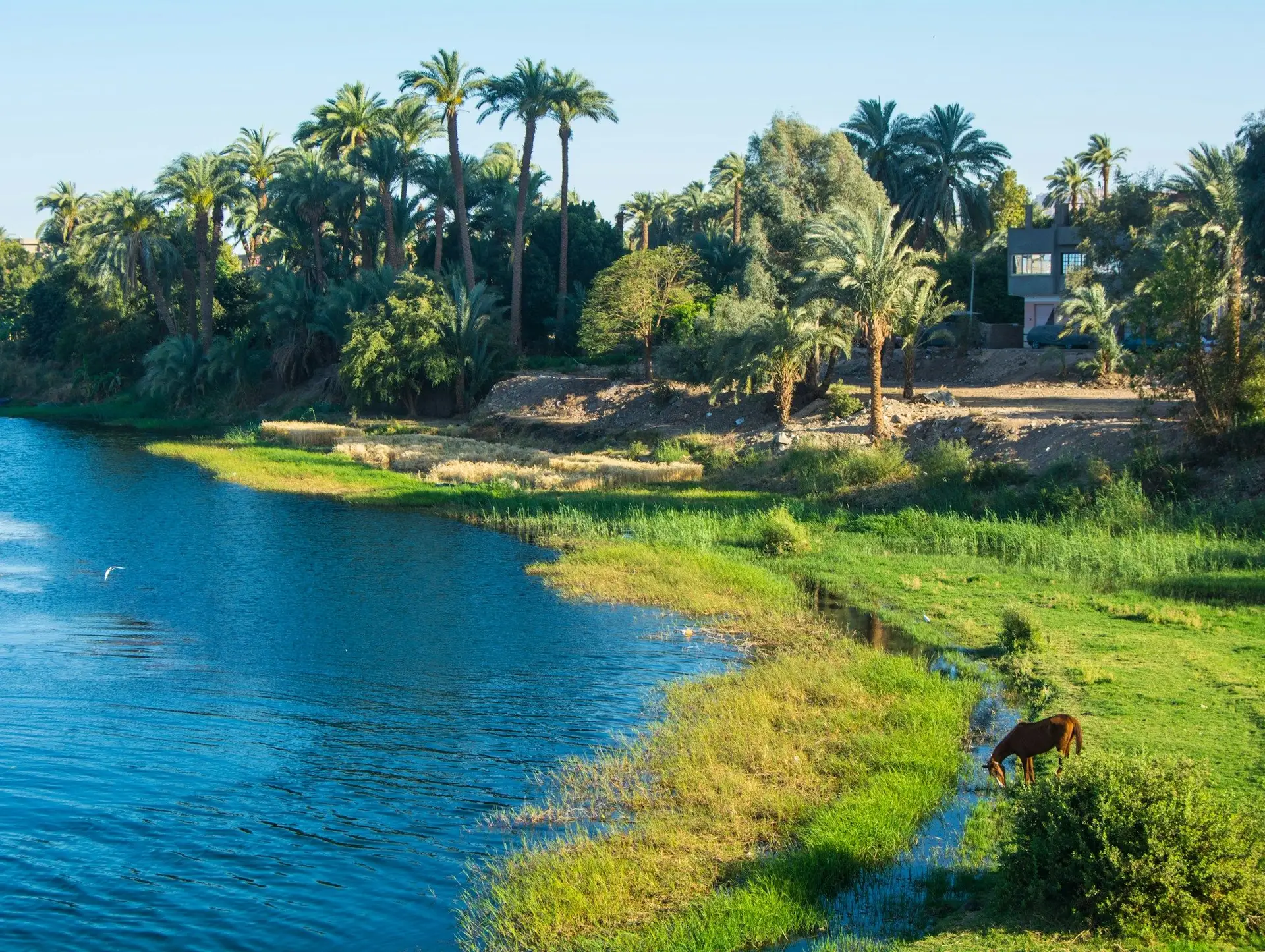 7 bonnes raisons de voyager en Egypte avec une agence de voyages