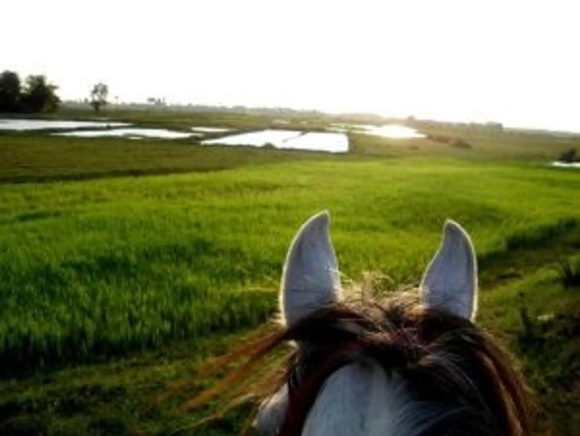 Pratiques durables et éthiques pour voyager au Cambodge