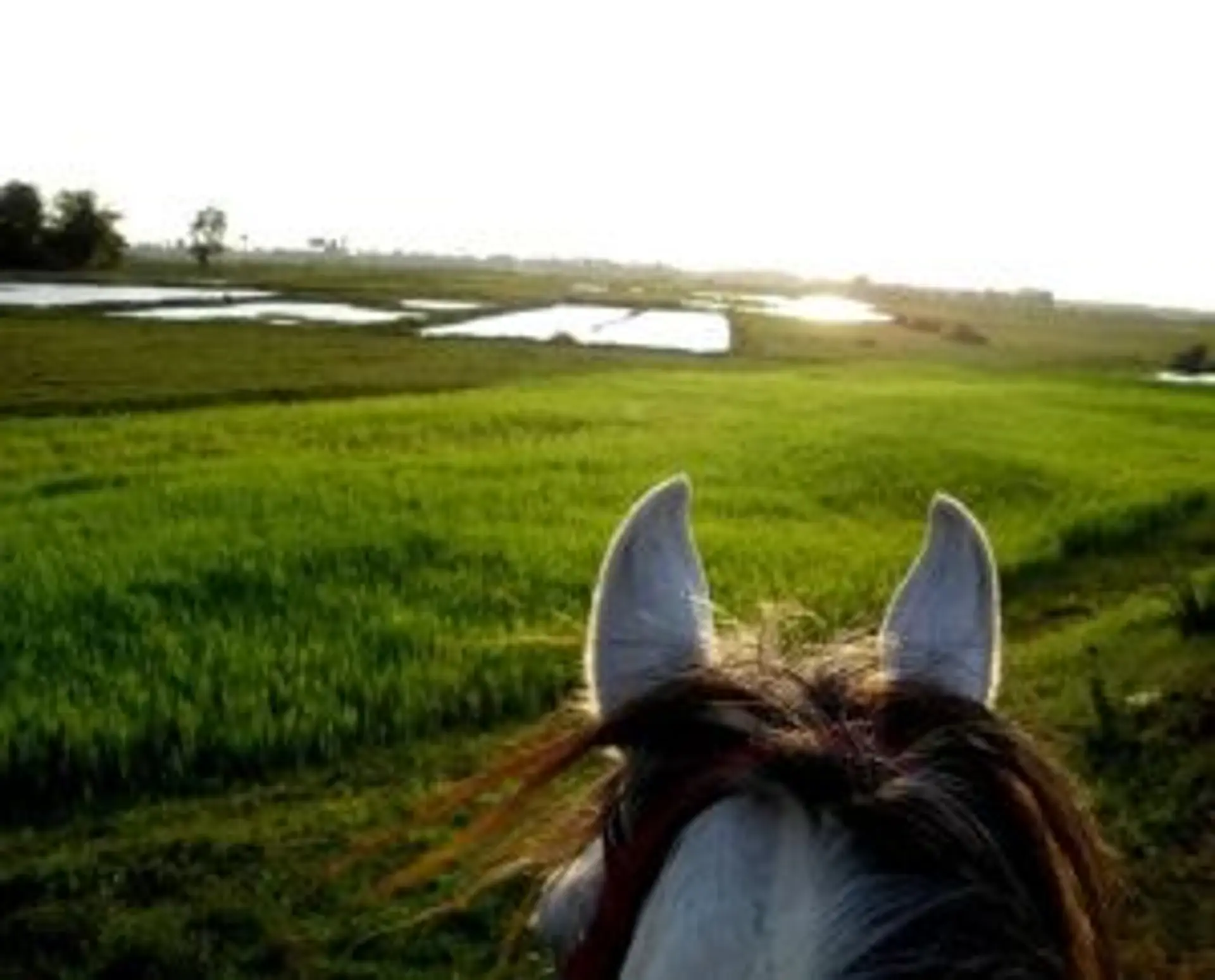 Rencontre entre un voyageur et une famille locale devant une maison traditionnelle en bois dans la campagne cambodgienne