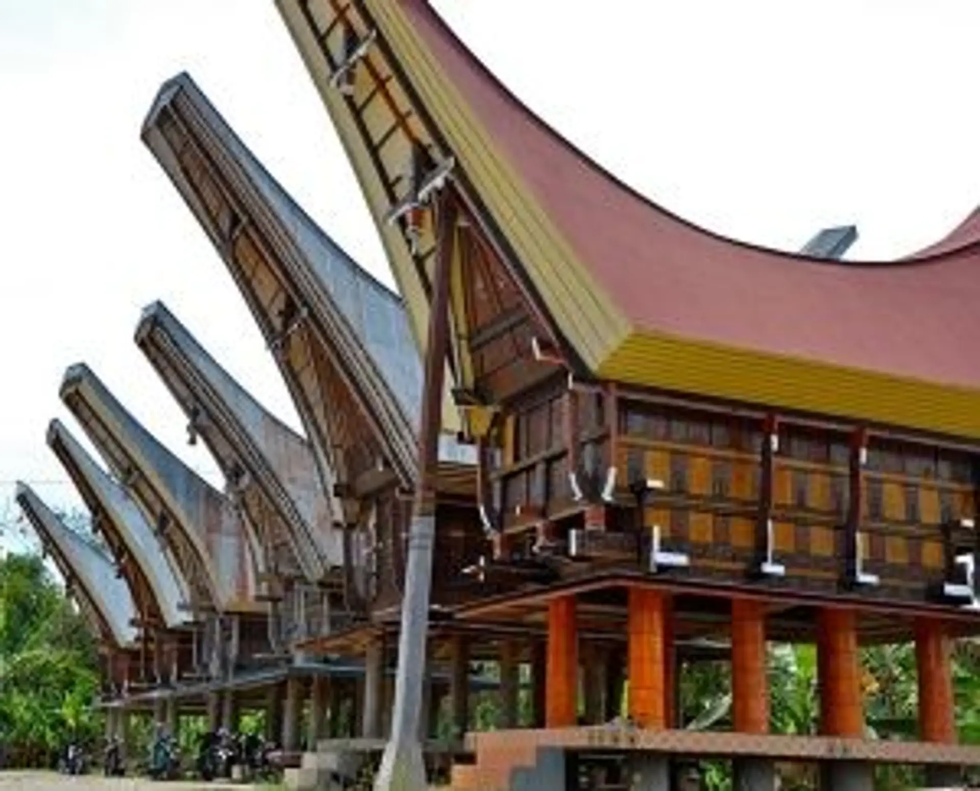 Travel in Asia - A row of Tongkonan, traditional houses of the Torajan people in South Sulawesi, Indonesia