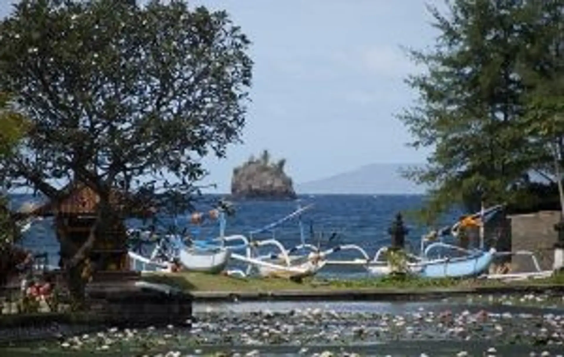 Bateaux traditionnels jukungs et bassin de lotus sur la côte de Candidasa à Bali