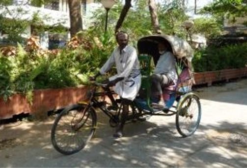 Voyage en Asie — Cinq activités incontournables en Inde du Sud : backwaters, plantations de thé, soins ayurvédiques, temples historiques et villes emblématiques