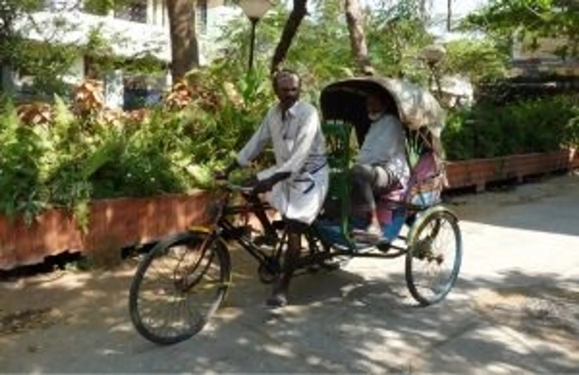 Voyage en Asie — Cinq activités incontournables en Inde du Sud : backwaters, plantations de thé, soins ayurvédiques, temples historiques et villes emblématiques
