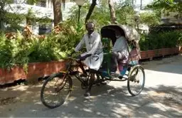 Voyage en Asie — Cinq activités incontournables en Inde du Sud : backwaters, plantations de thé, soins ayurvédiques, temples historiques et villes emblématiques