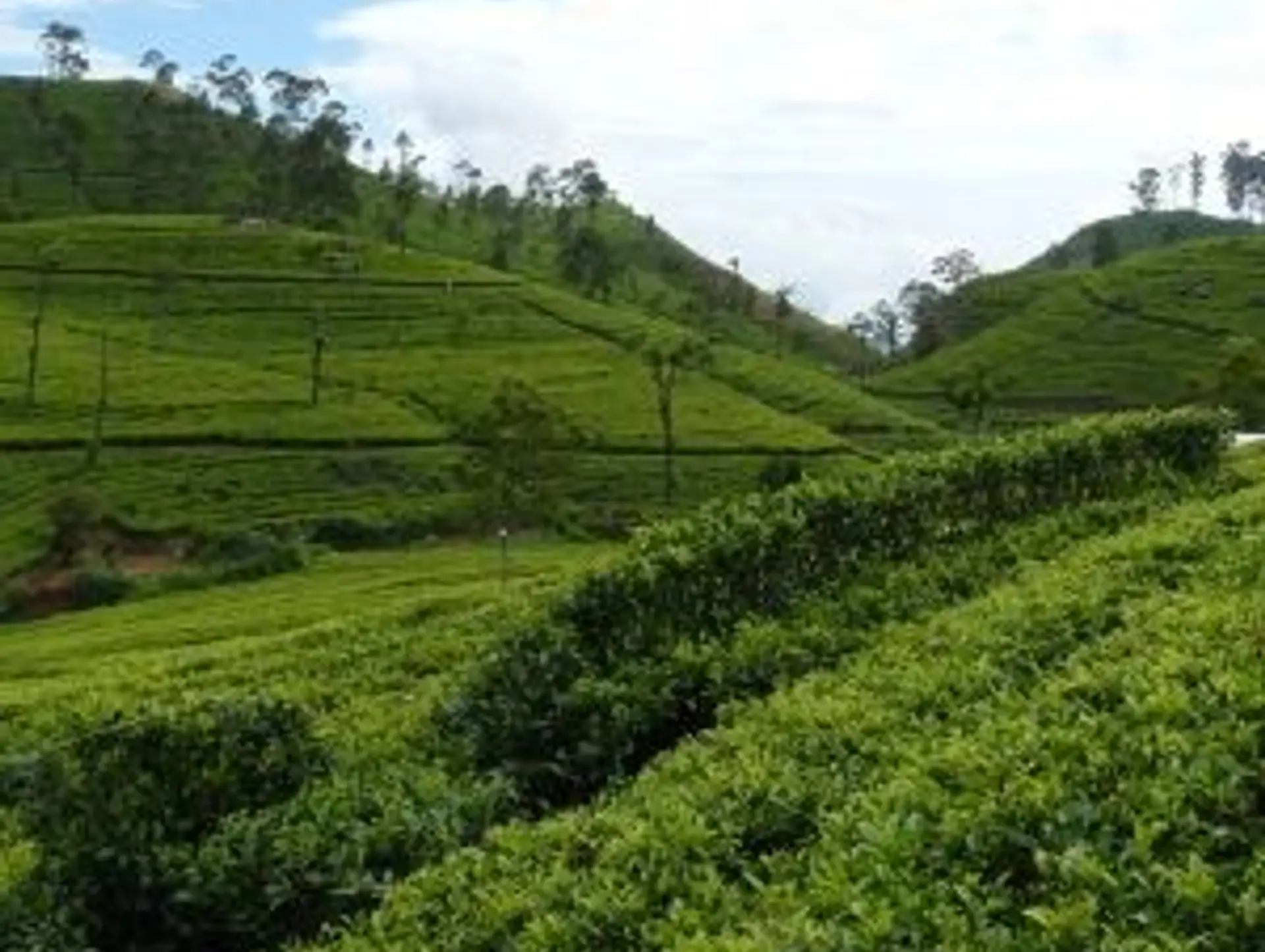 Abseits der Touristenpfade