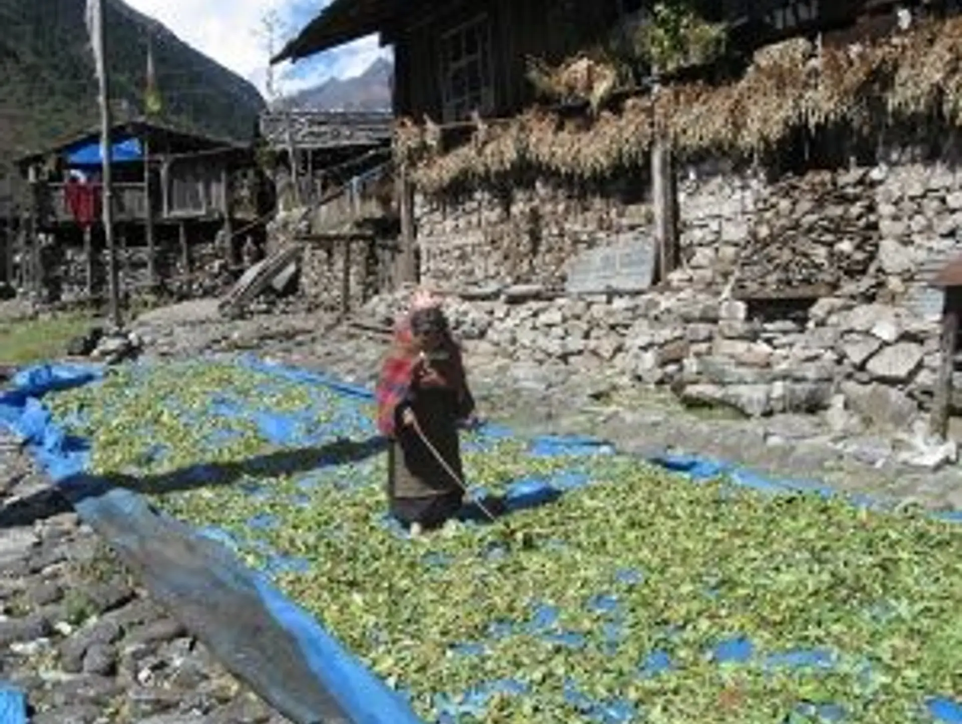 Abseits der ausgetretenen Pfade