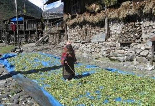 abseits-touristenpfade-nepal