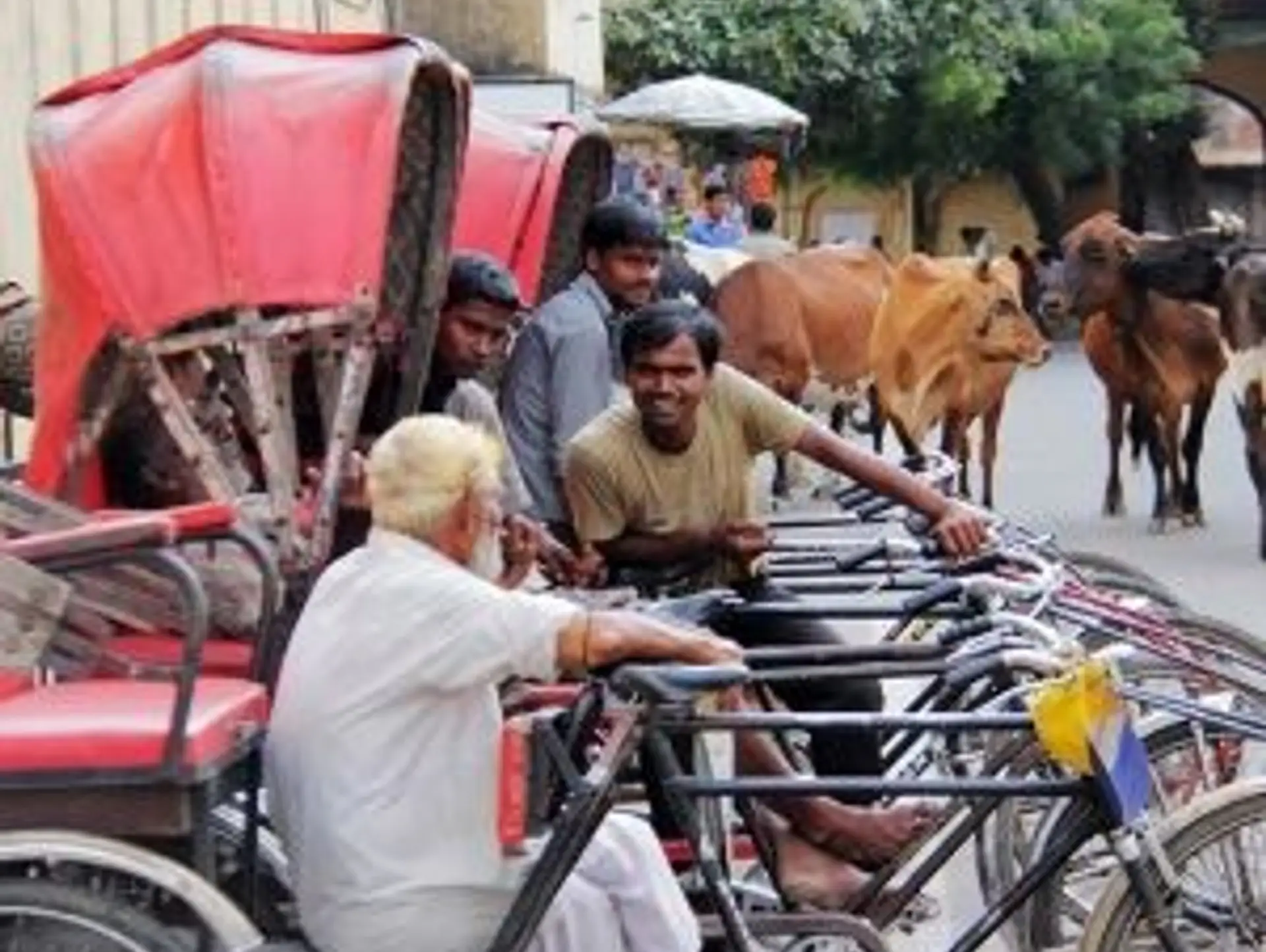 Avant de partir en Inde du Nord