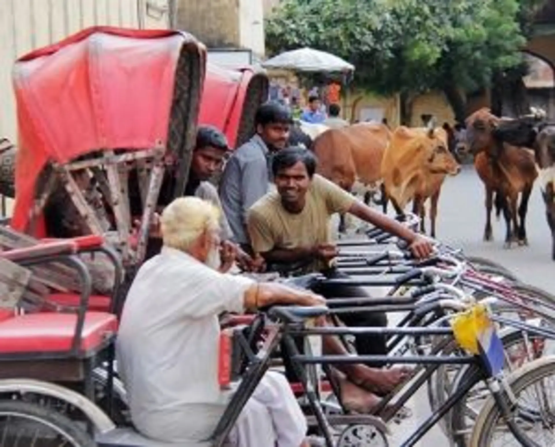 Avant de partir en Inde du Nord - conseils pratiques pour préparer son voyage