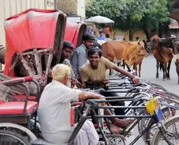 Avant de partir en Inde du Nord - conseils pratiques pour préparer son voyage