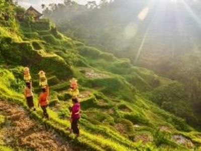 Avant de partir en Indonésie