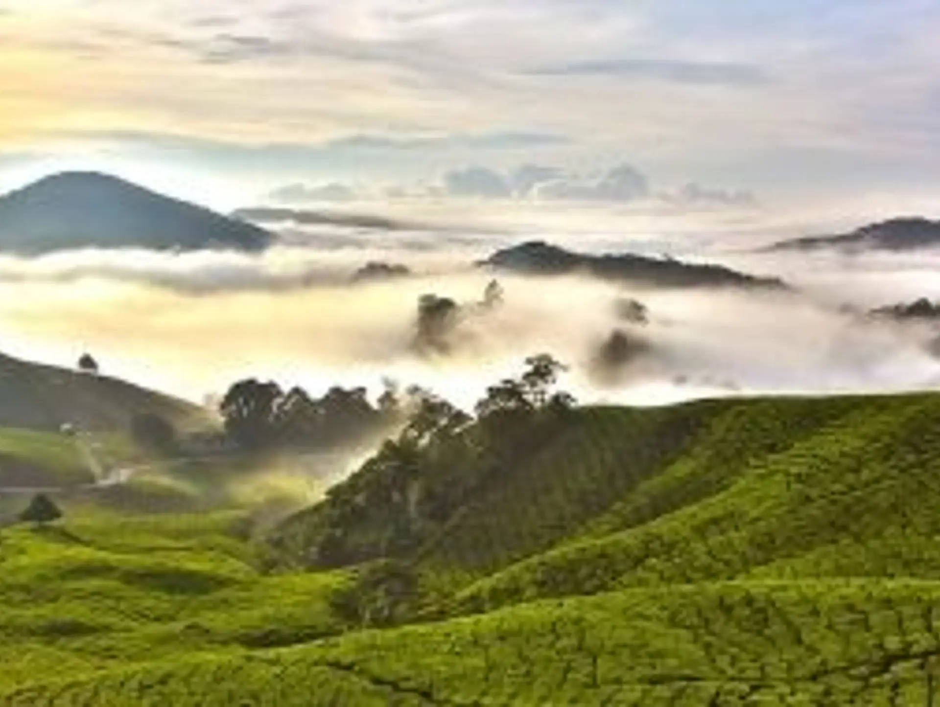 Avant de partir en Malaisie