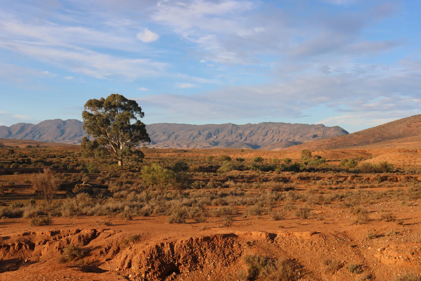 Plaine ocre et montagnes à Mount Little Station, Outback australien
