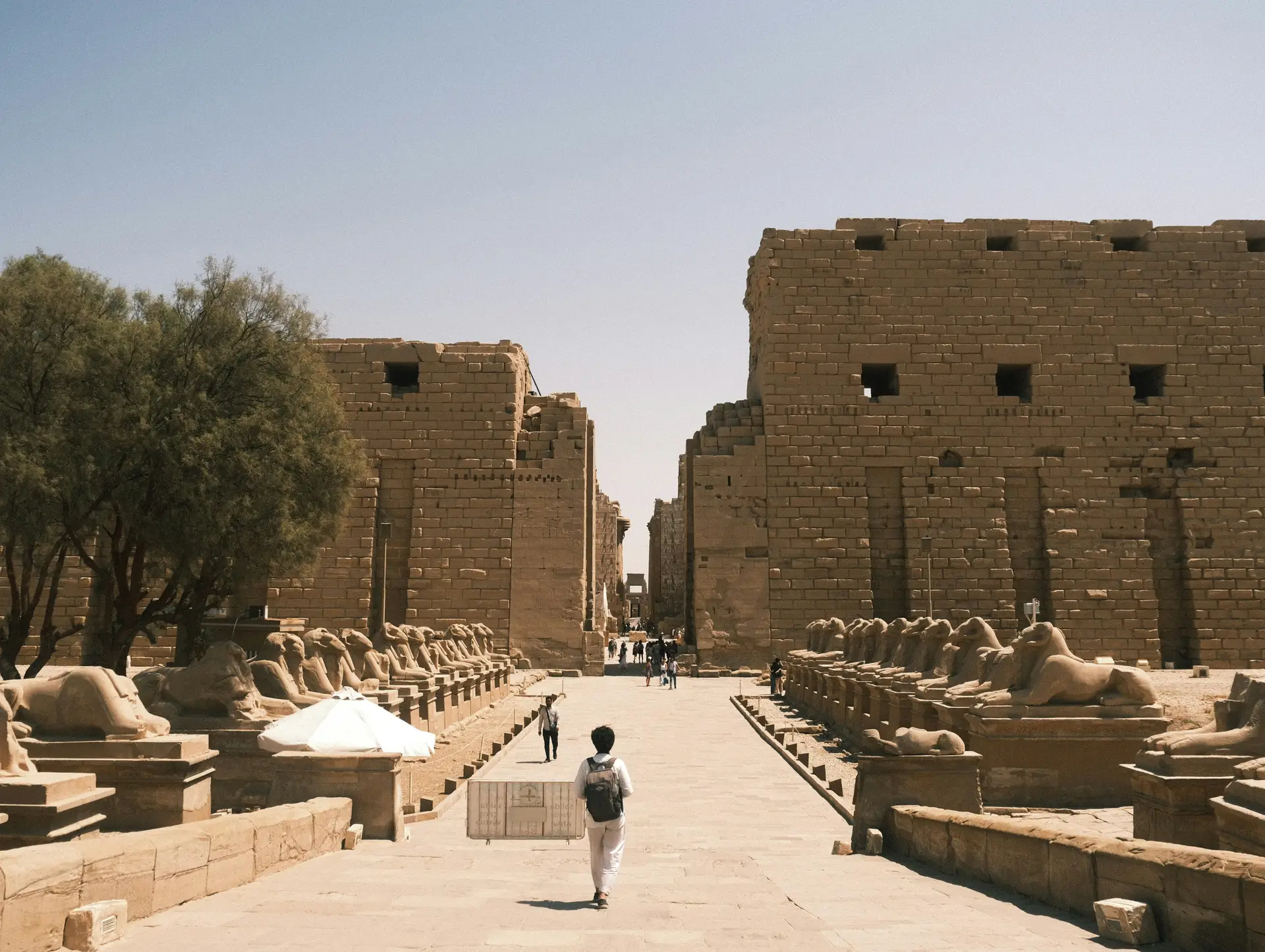 Avant de partir en Egypte : infos pratiques et formalités