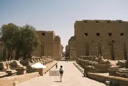 Personne marchant dans l'allée des sphinx menant aux pylônes en pierre de l'entrée du temple de Karnak