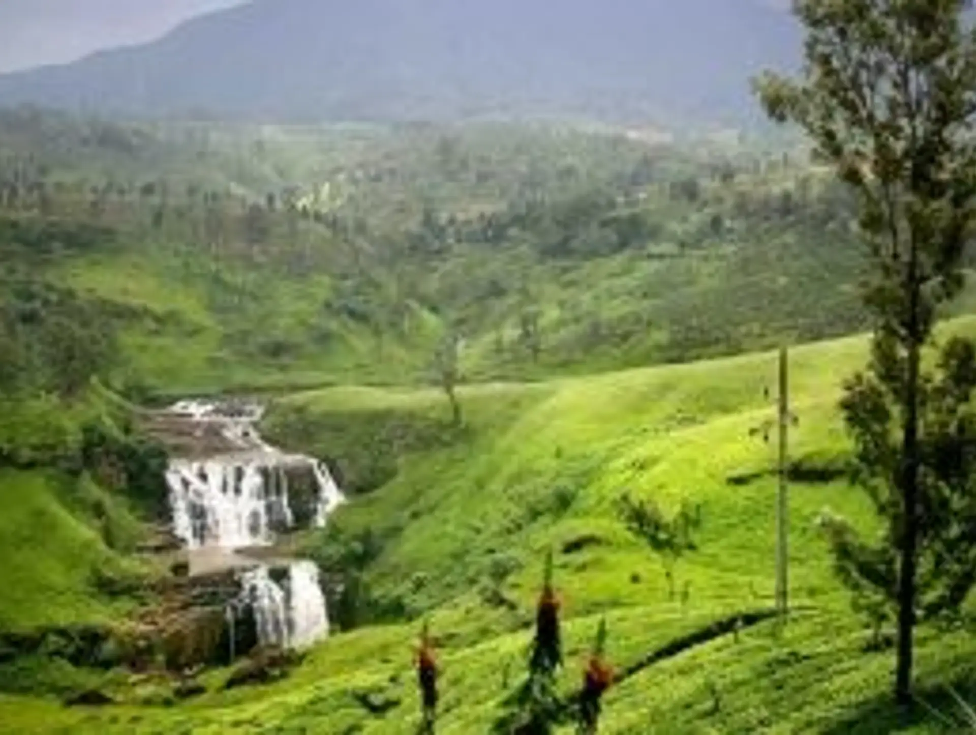 When to Travel to Sri Lanka