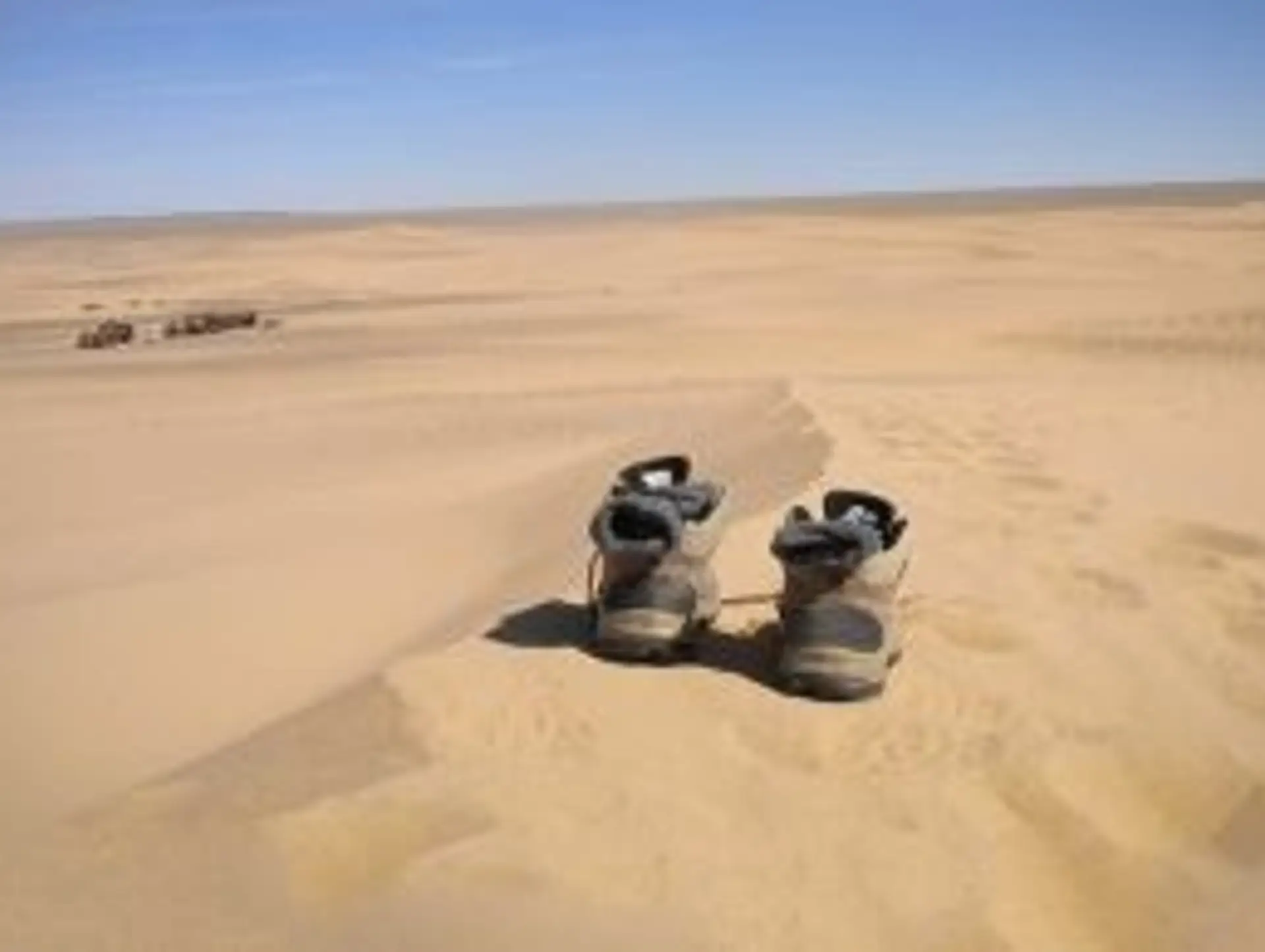 10 bonnes raisons d'aller en Mongolie