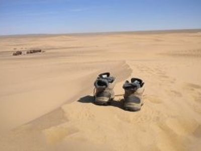 10 bonnes raisons d'aller en Mongolie