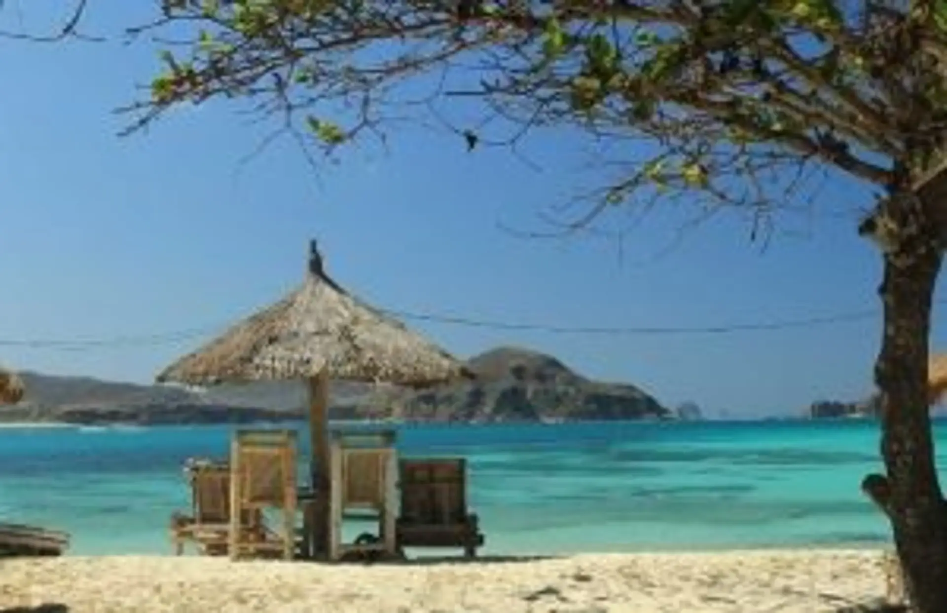 Femmes de minorités ethniques en tenue traditionnelle marchant avec des hottes en osier au Vietnam