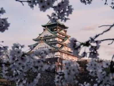 10 bonnes raisons de partir au Japon