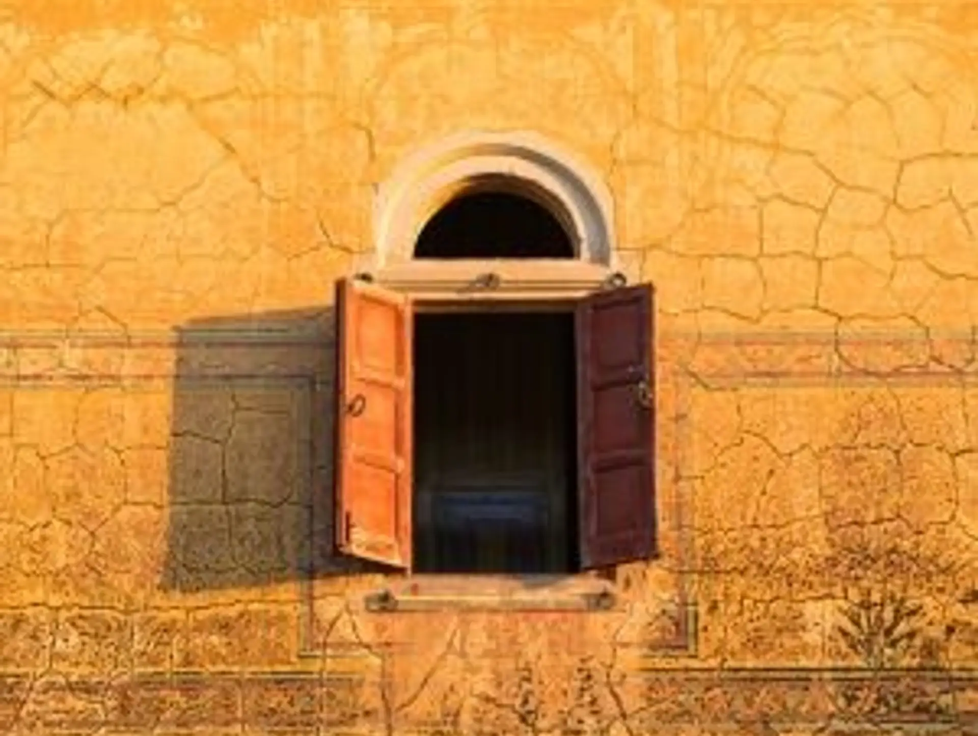 10 Bonnes Raisons de Partir En Inde Du Nord