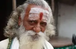 Voyage en Asie - Dix bonnes raisons de partir en Inde du Sud : nature, culture, temples, gastronomie, temples dravidiens et expériences authentiques