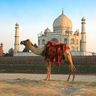Voyage en Asie — Taj Mahal à Agra lors d’un voyage en Inde avec une agence locale