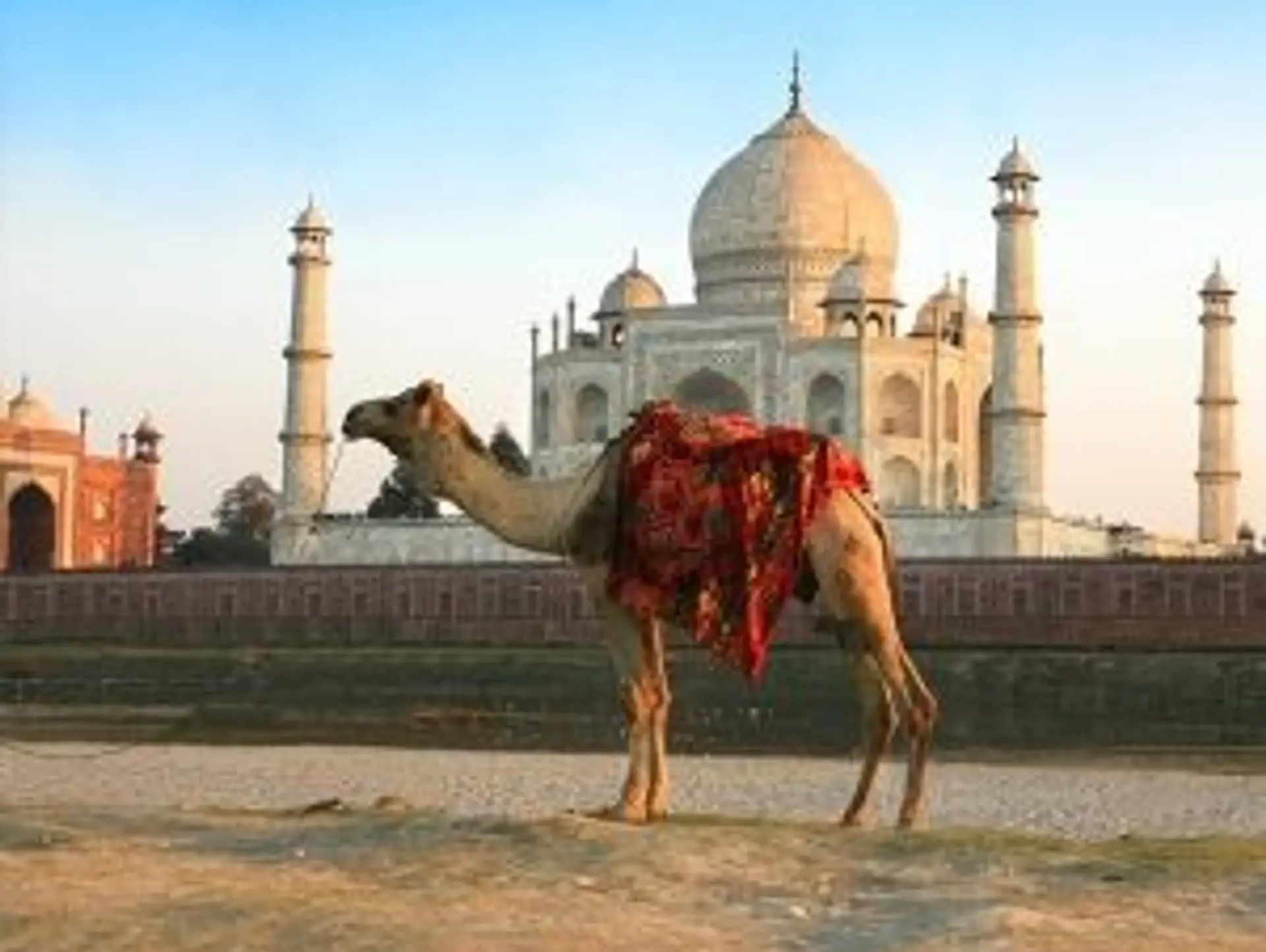 5 bonnes raisons de partir en voyage avec Shanti Travel en Inde