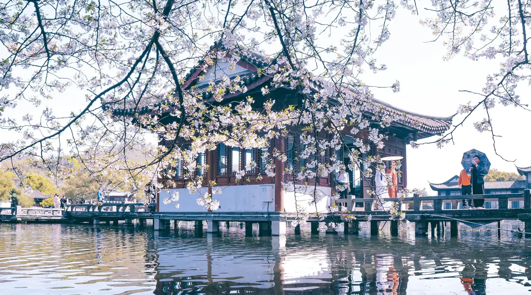 guide-chine-faune-flore-2-shanti-travel.jpg