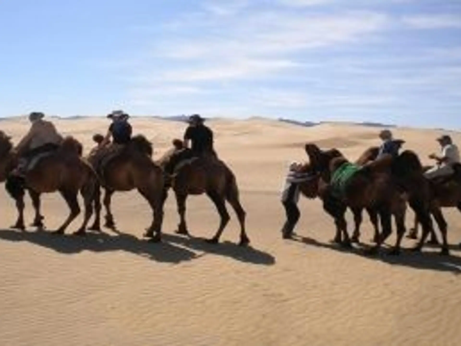 Comprendre les différences culturelles en Mongolie