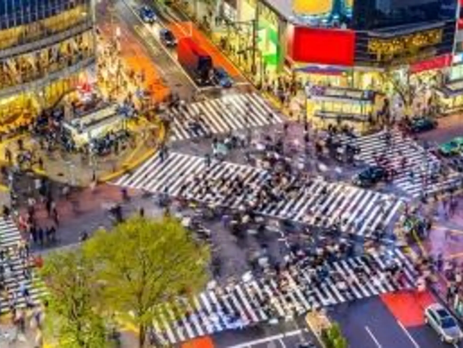 24 Dinge, die Sie in Japan machen können