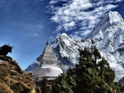 Die Flora und Fauna in Nepal
