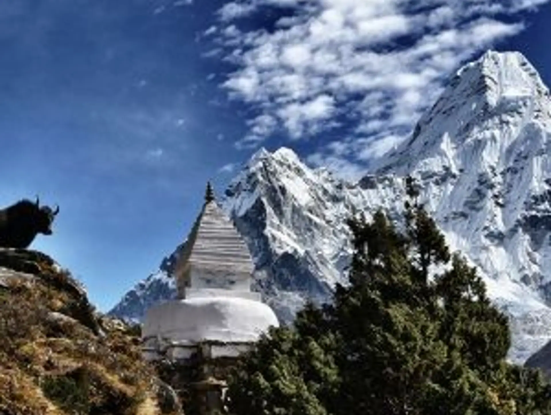 Die Flora und Fauna in Nepal