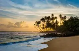 top-7-fur-die-schonsten-strande-sri-lanka