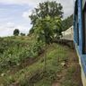 Travel in Asia - View of greenery out of a train window from a scenic train in Myanmar.