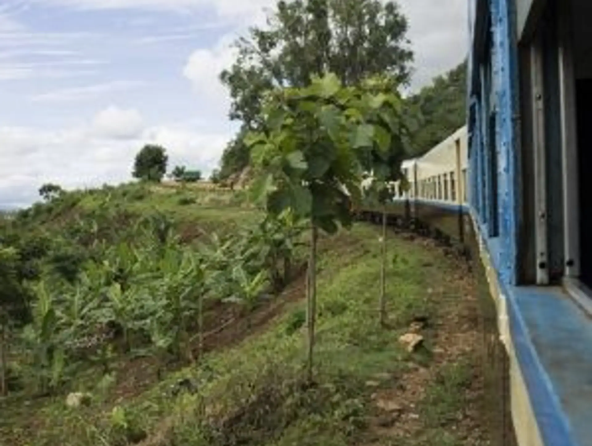 Essential Travel Information for Myanmar