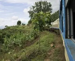 Travel in Asia - View of greenery out of a train window from a scenic train in Myanmar.