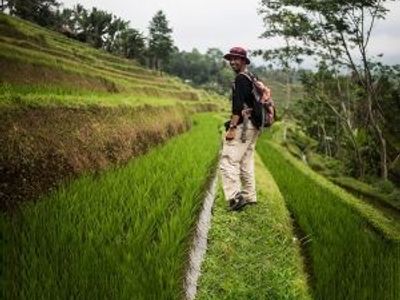 Essential Travel Information for Indonesia