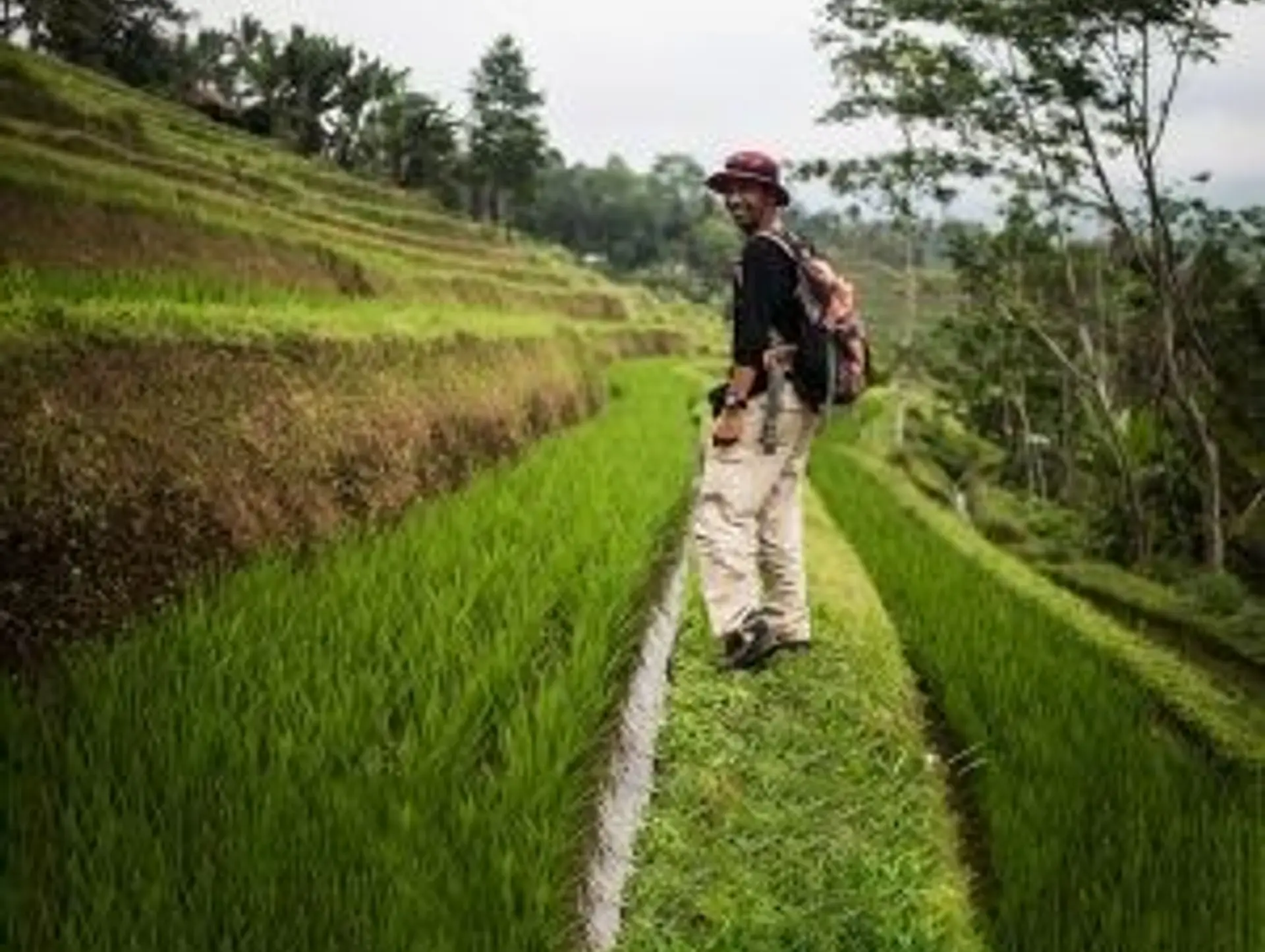 Essential Travel Information for Indonesia