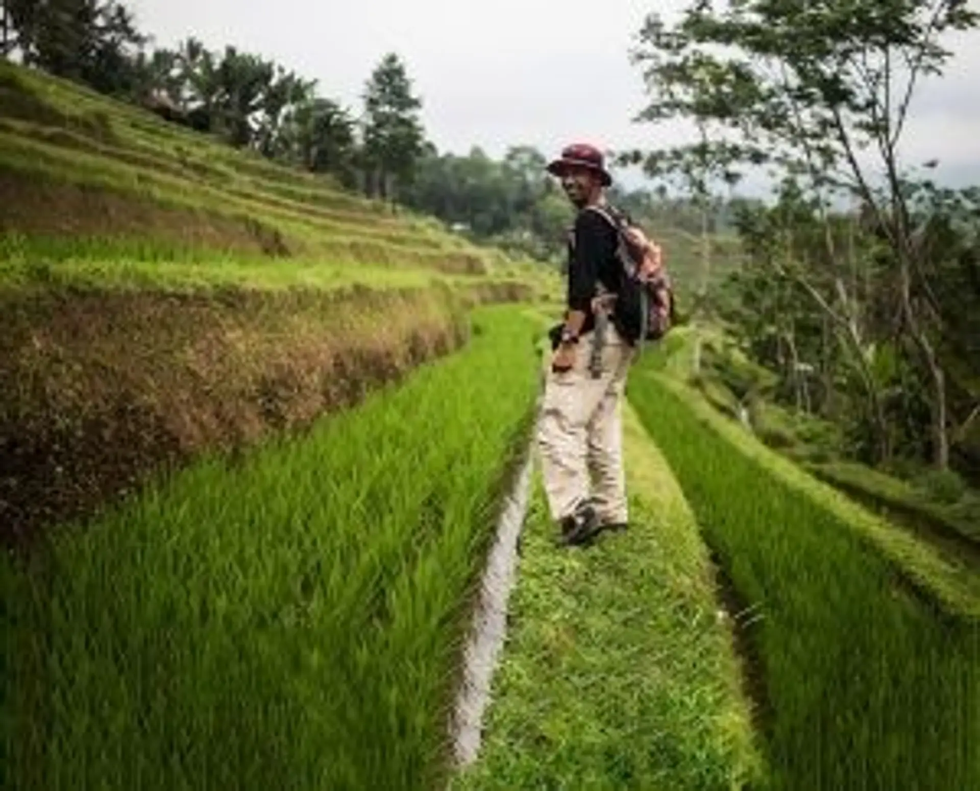 Travel in Asia - A man walking through the Tegallalang Rice Terraces in Bali