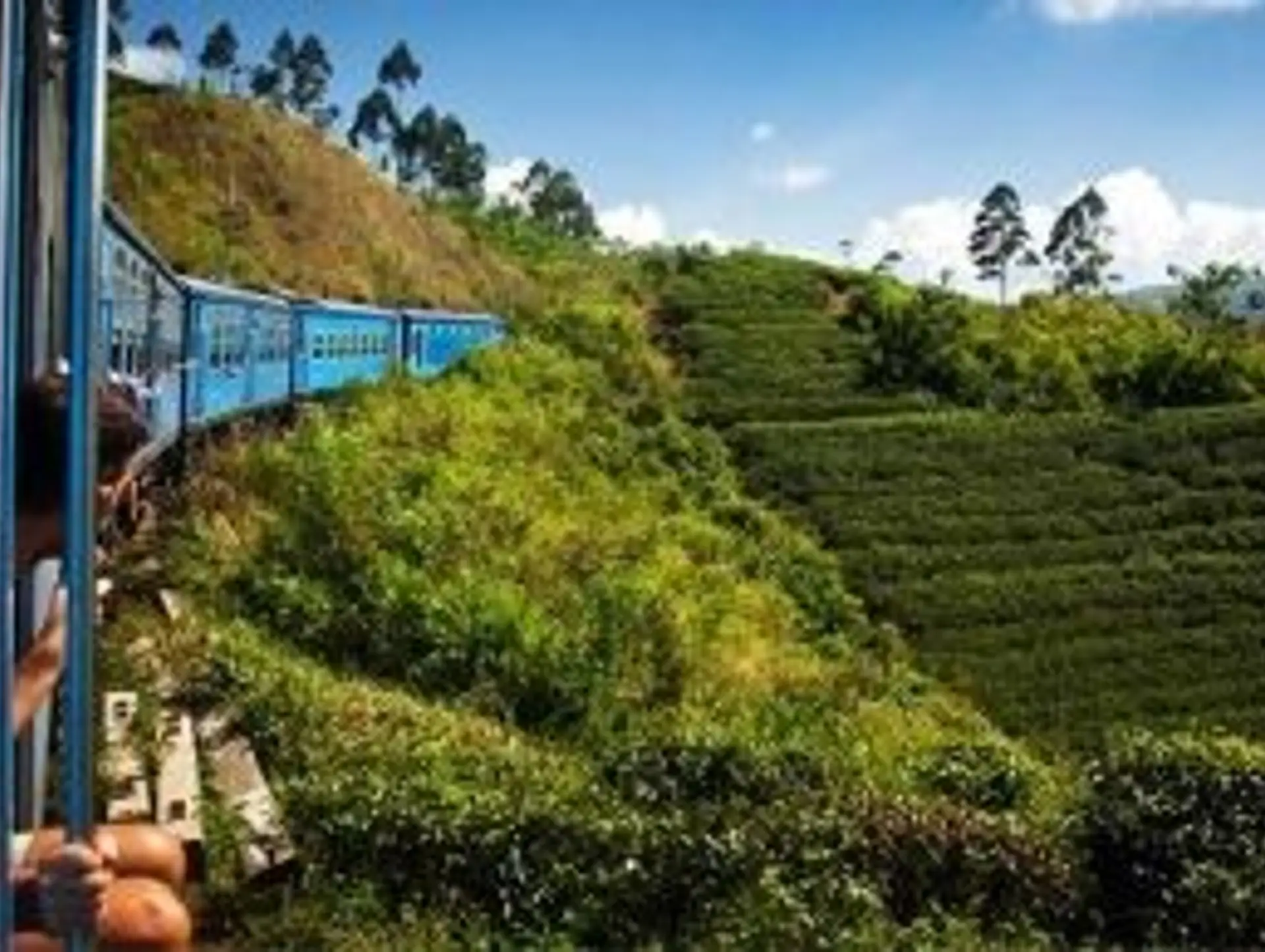 Getting Around in Sri Lanka