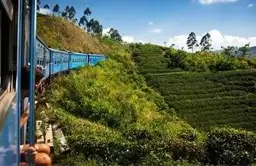 Travel in Asia - A train on a journey through the green hill country of Sri Lanka