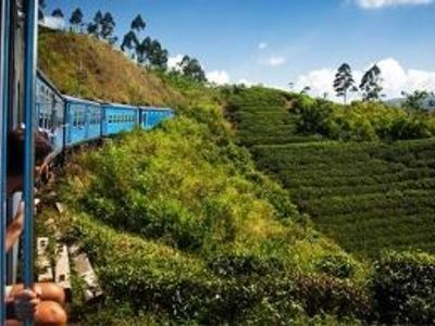 Getting Around in Sri Lanka