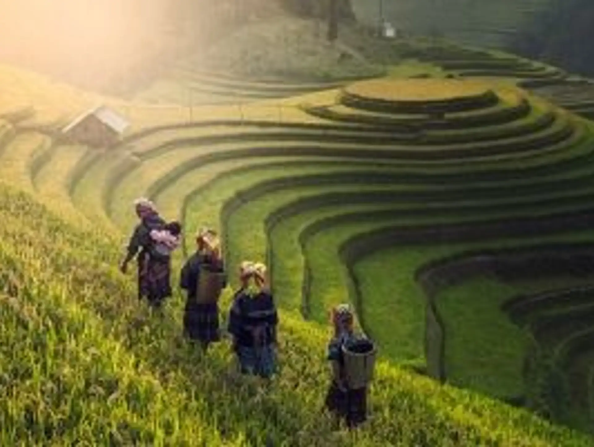 10 Gründe, für eine Reise nach Vietnam