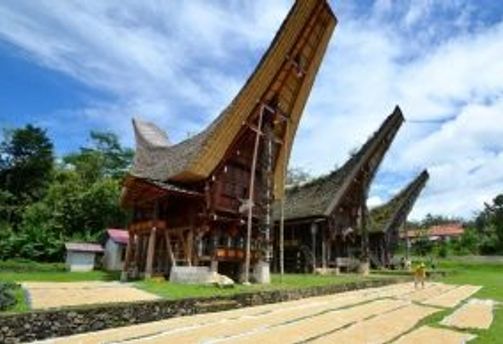Voyage en Asie — Maisons traditionnelles indonésiennes (Tongkonan ou Batak) : toits incurvés en bois et esplanade verdoyante.